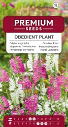 Obedient Plant Mixed Seeds